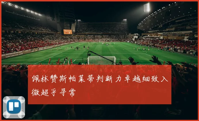 佩林赞斯帕莱蒂判断力卓越细致入微超乎寻常