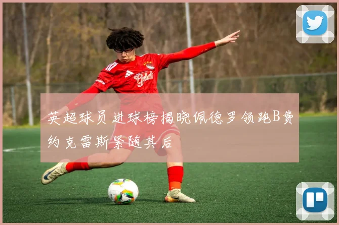 英超球员进球榜揭晓佩德罗领跑B费约克雷斯紧随其后