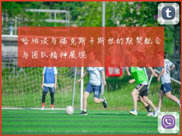 哈珀谈与福克斯卡斯尔的默契配合与团队精神展现