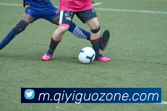 奇异果体育APP 封面图